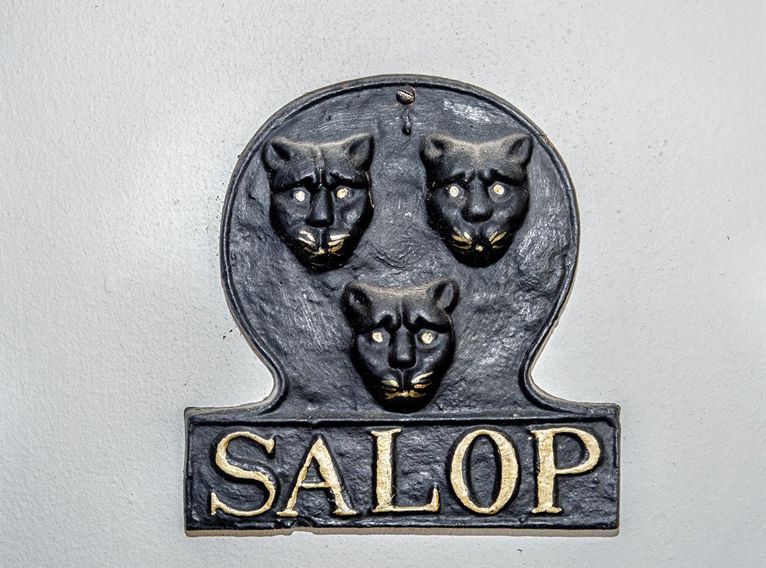 Salop House Villa Fish Hoek Ngoại thất bức ảnh